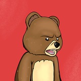 Bear coin 🐻