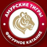 АМУРСКИЕ ТИГРЫ🐅
