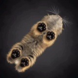 Мягкие Лапки 🐾