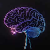 🔥MindShift | Путь Разума