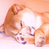 The First Doge