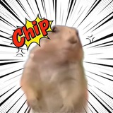 Chip portal