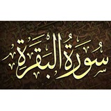 حفظ سورة البقرة