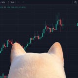 Point of Dog CTO