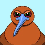 Kiwi Portal