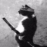 SAMURAI CAT
