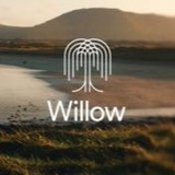 $Willow Portal