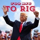 TOO BIG TO RIG - $MAGA | PORTAL