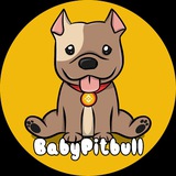 Baby Pitbull ( $BABYPIT )