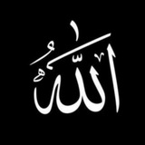 اللّٰه هـــو الحـــب 🌸 ³¹³