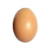 World Record Egg