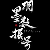 羽墨数据号「全网最低价」🇨🇳