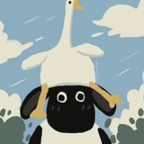 Sheep交流反馈