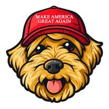 PATTON - TRUMP'S FIRST DOGE