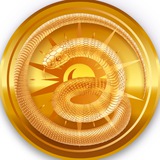 Lunar Snake Coin / Portal