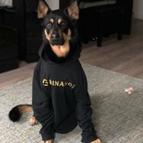 CZ Dog Official