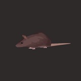Spinrat Portal
