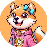 NINA | BASED TEAM