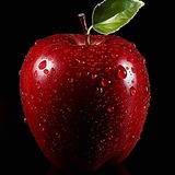 Чехов Сад🍎 Ресторан