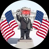 Baby Patriot Portal