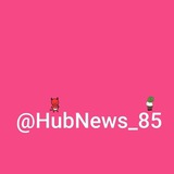 HubNews_85