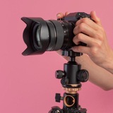 Modelingbax