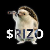 $RIZO - Hahayes Portal
