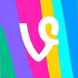 Flash Vine Coin Portal