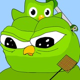 Duolingo Pepe | $DUOPEPE