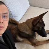 Broccoli Official CZ’S DOG