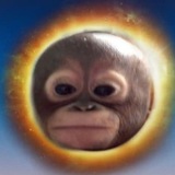 SolWuKong CTO