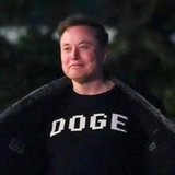 The Dogefather