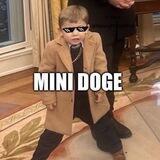 MiniDoge CTO Portal