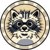 Pumpkin The Raccoon