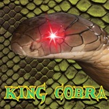 King Cobra🐍🐍