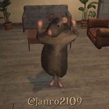 Janro the Rat