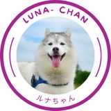 Luna Chan | Portal