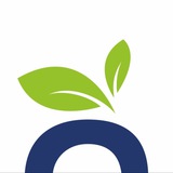Lotta | Чистота и уют дома 🌱