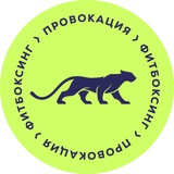 Студия фитбоксинга «Провокация» в Одинцово