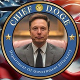 Chief D.O.G.E
