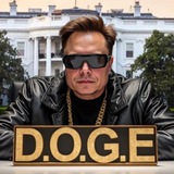 D.O.G.E