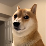 Yumi Portal