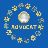 Вступ 2025 Бакалаври Факультет адвокатури