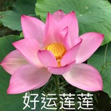 社区导航中心