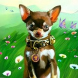 PiDog Community