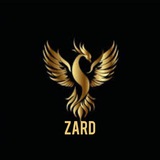 Zard | پوشاک عمده اورجینال زرد