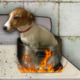 $COOKED | Verify