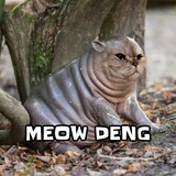 Hippo Cat - $MEOWDENG