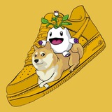 DOGESNEAKERS - First Official Doge Shoes