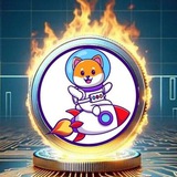 MartianDoge官方群